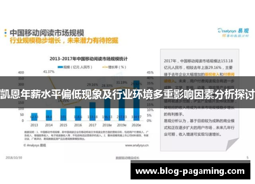 凯恩年薪水平偏低现象及行业环境多重影响因素分析探讨