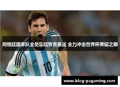 阿根廷国家队全员集结誓言备战 全力冲击世界杯荣耀之巅