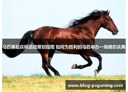 马匹赛后庆祝活动策划指南 如何为胜利的马匹举办一场难忘庆典