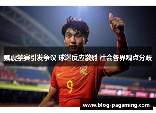 魏震禁赛引发争议 球迷反应激烈 社会各界观点分歧 魏震禁赛引发争议 球迷反应激烈 社会各界观点分歧