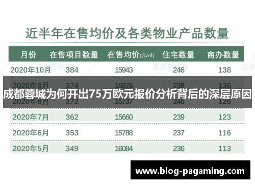 成都蓉城为何开出75万欧元报价分析背后的深层原因