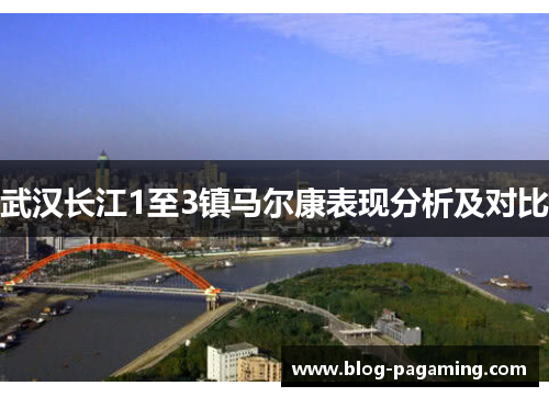 武汉长江1至3镇马尔康表现分析及对比