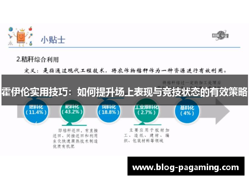 霍伊伦实用技巧：如何提升场上表现与竞技状态的有效策略